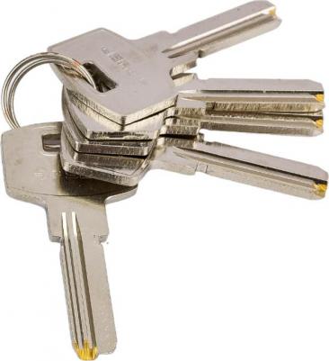 Заготовка ключа для цилиндровых механизмов 4606373100765 – фото 1