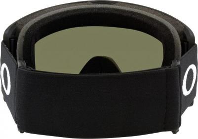 Очки Горнолыжные Target Line L Matte Black/Violet Iridium – фото 1