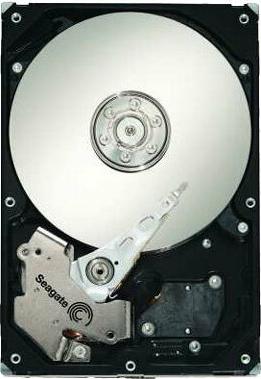 ST31000640SS – фото 1