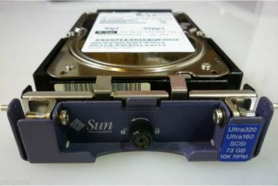 XTA-3310-73GB-10K – фото 1