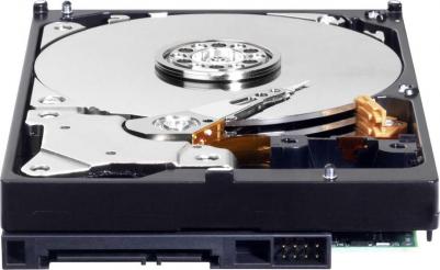 WD10EZEX – фото 1