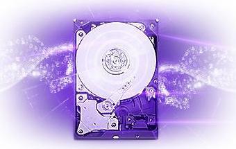 WD10PURX – фото 6