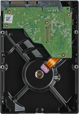 WD11PURZ – фото 3