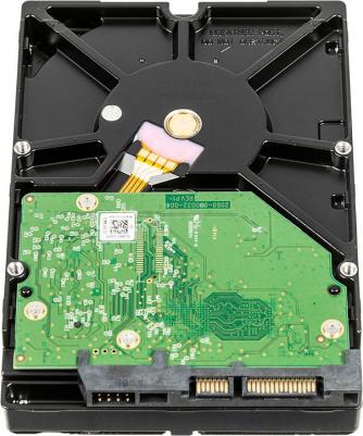 WD2005FBYZ – фото 16