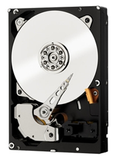 WD3003FZEX – фото 5