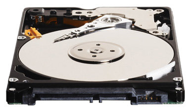 WD3200BEVT – фото 4