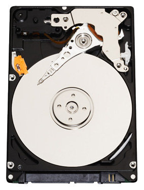 WD3200BEVT – фото 8
