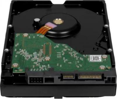 WD43PURZ – фото 2