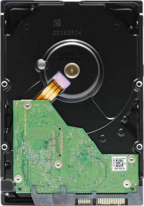 WD43PURZ – фото 3