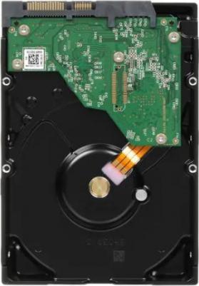 WD43PURZ – фото 6