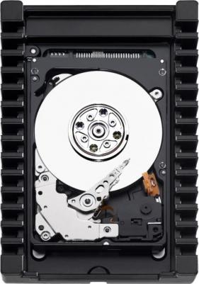 WD800JD