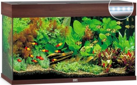 Juwel Аквариум 125л. RIO 125 LED темное дерево 81x36x50см 2x14W Фильтр Bioflow M, нагреватель 100W – фото 3 Juwel Аквариум 125л. RIO 125 LED темное дерево 81x36x50см 2x14W Фильтр Bioflow M, нагреватель 100W – фото 3