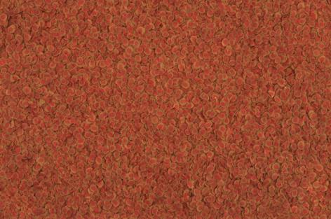 Tetra Корм Colour Crisps Premium Food for All Tropical Fish чипсы усиление окраски для всех видов тропических рыб 500мл – фото 4 Tetra Корм Colour Crisps Premium Food for All Tropical Fish чипсы усиление окраски для всех видов тропических рыб 500мл – фото 4