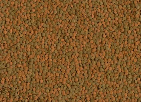 Tetra TetraWaferMix Mini корм в мини-чипсах для всех мелких донных рыб 100 мл – фото 3 Tetra TetraWaferMix Mini корм в мини-чипсах для всех мелких донных рыб 100 мл – фото 3