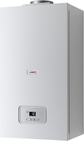 Купить Котел Protherm 50